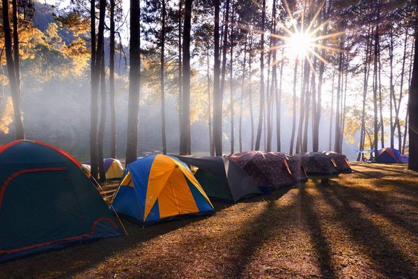 Découvrir le joyau caché du camping nature dans les Hauts-de-France