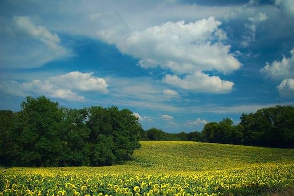 Quels sont les campings dans le Gers près du Rupé pour profiter de la campagne ?