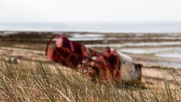 Comment se ressourcer dans un camping à la campagne avec des livres et des cartes sur l'Ile de Ré ?