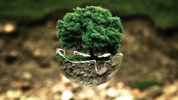 Comment camper écolo et respecter l'environnement ?