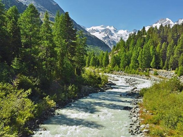 Quelles sont les activités de nature à faire dans un camping à la campagne dans les Hautes Alpes ?