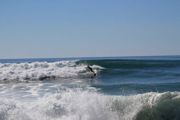 Découvrez les Meilleurs Emplacements pour votre Terrain de Camping à Biscarrosse